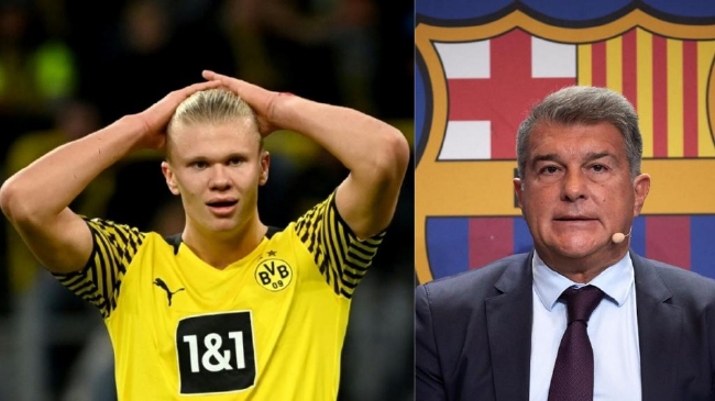 文章总结：曼城主场强势，桑德兰升班马表现稳定，曼城实力占优，但比赛难度大。