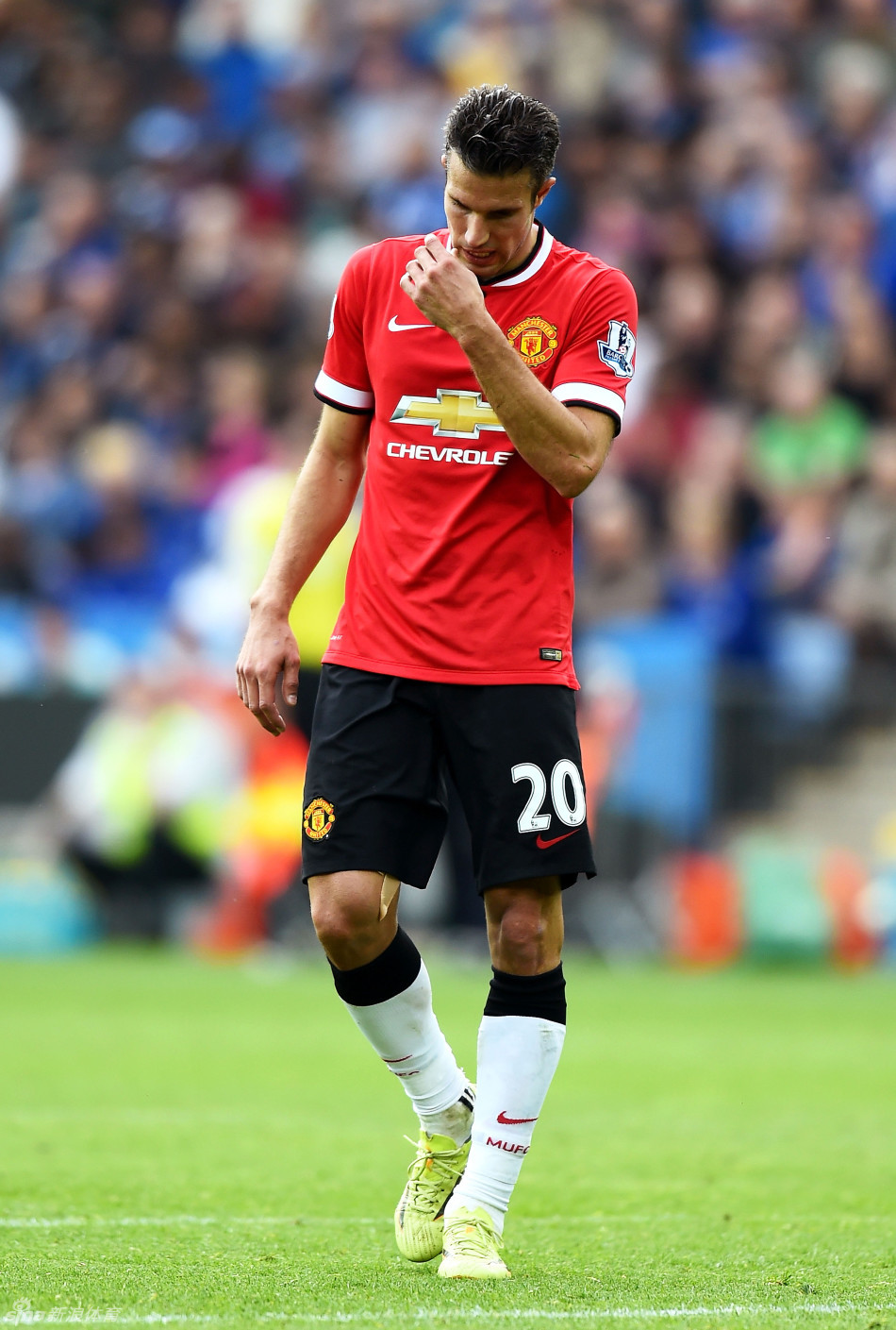 足球国足公开训练吸引千名球迷现场加油（国足公开训练吸引上千球迷到场助威）